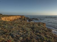 a grassy field by the shore and a cliff with rocks in the ocean in the background