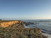 a grassy field by the shore and a cliff with rocks in the ocean in the background