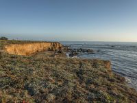 a grassy field by the shore and a cliff with rocks in the ocean in the background