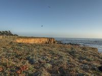 a grassy field by the shore and a cliff with rocks in the ocean in the background