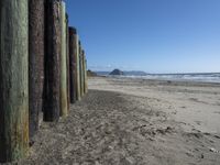 California Coast: Low Cliffs and Sandy Beach