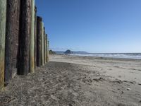 California Coast: Low Cliffs and Sandy Beach 002