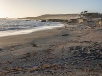 a grassy field by the shore and a cliff with rocks in the ocean in the background