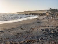 a grassy field by the shore and a cliff with rocks in the ocean in the background