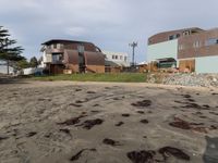 California Coastal Beach: A Beautiful Day by the Water