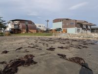 California Coastal Beach: A Beautiful Day by the Water