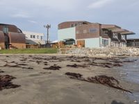 California Coastal Beach: A Beautiful Day by the Water