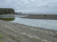 California Coastal Cliffs: A Beach in the Morning Fog