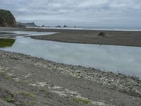 California Coastal Cliffs: A Beach in the Morning Fog