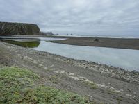 California Coastal Cliffs: A Beach in the Morning Fog