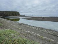 California Coastal Cliffs: A Beach in the Morning Fog