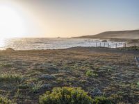 a grassy field by the shore and a cliff with rocks in the ocean in the background