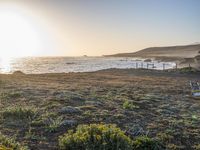 a grassy field by the shore and a cliff with rocks in the ocean in the background