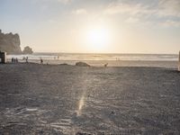 California's Coastal Dunes: A Foggy Morning