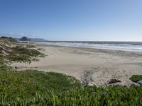 Coastal Dunes of California: Sand and Ocean Views