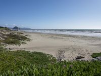 Coastal Dunes of California: Sand and Ocean Views