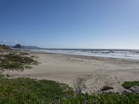 Coastal Dunes of California: Sand and Ocean Views