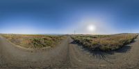 360 degrees view of a dirt road surrounded by tall grass and weeds with a sunny light