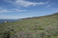 California Coastal Landscape with Open Grass Surface and Highland Vegetation