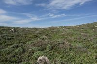 California Coastal Landscape with Open Grass Surface and Highland Vegetation