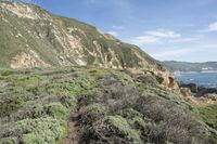 California Coastal Landscape: Rocky Shoreline and Stunning Views