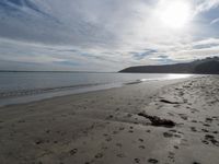 California Coastal Landscape: Sunny Beach along the Coast