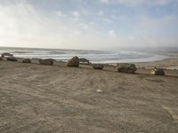 California Coastal Landscape: Sunrise and Sunshine