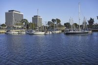 several sailboats docked in a large body of water next to skyscrapers and trees