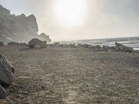 California Coastal Park at Dawn: Serene Ocean Views