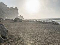 California Coastal Park at Dawn: Serene Ocean Views