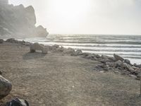 California Coastal Park at Dawn: Serene Ocean Views