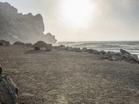 California Coastal Park at Dawn: Serene Ocean Views