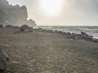 California Coastal Park at Dawn: Serene Ocean Views