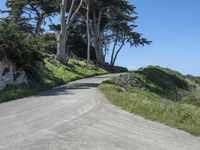 a curved road surrounded by lush green trees and rocks in the distance is an ocean