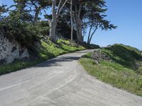 a curved road surrounded by lush green trees and rocks in the distance is an ocean