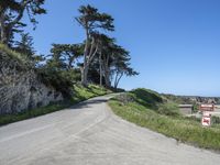 a curved road surrounded by lush green trees and rocks in the distance is an ocean