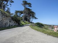 a curved road surrounded by lush green trees and rocks in the distance is an ocean