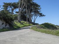 a curved road surrounded by lush green trees and rocks in the distance is an ocean