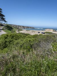 the beach, road and view of the ocean from a bluff near a beach with grass and trees