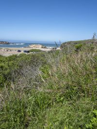 the beach, road and view of the ocean from a bluff near a beach with grass and trees