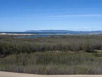 a paved beach with a fence in front of it and the ocean in the distance