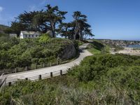 a long road next to a beach in front of some trees and bushes next to a cliff