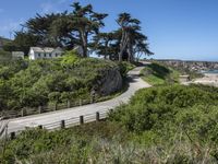 a long road next to a beach in front of some trees and bushes next to a cliff