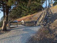 California Coastal Road at Dawn: Nature and Ocean (003)