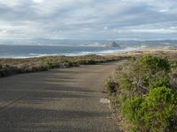 the view of a beach, bushes and coastline from the trail path at the shore of the ocean