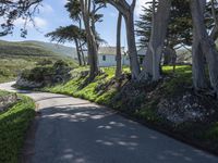 California Coastal Road Landscape 001