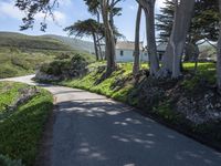 California Coastal Road Landscape 002