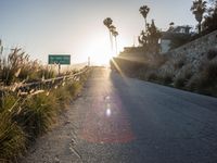 a road that is empty and has palm trees on the side of it, with the sun behind