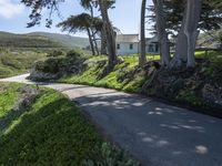 California's Coastal Road: A Picturesque View