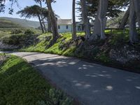 California's Coastal Road: A Picturesque View